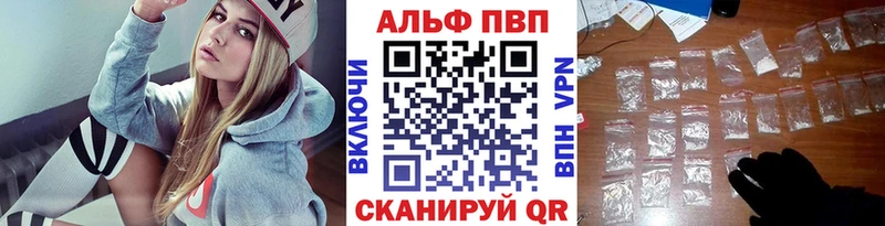 APVP СК  Кирсанов 